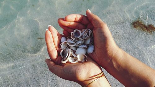 Close-up of hand holding baby at beach