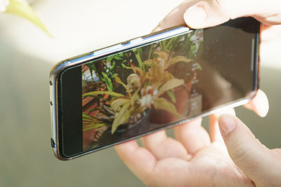 Cropped image of female hand holding mobile phone