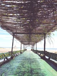 Empty footbridge along trees