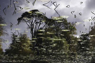 View of lake seen through wet glass window