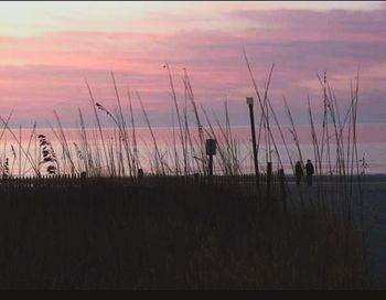 Scenic view of sea at sunset