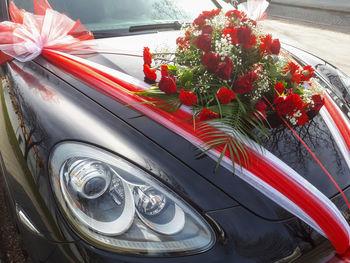 High angle view of red flowering plants on car windshield