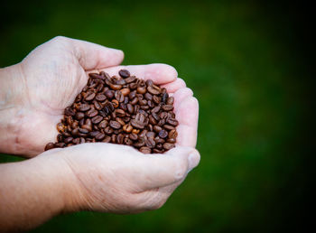 Cropped image of hand holding roasted coffee beans