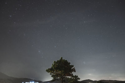 Low angle view of silhouette trees against sky at night