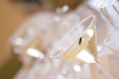 Close-up of glass on white table