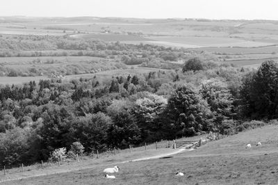 High angle view of road amidst field against sky