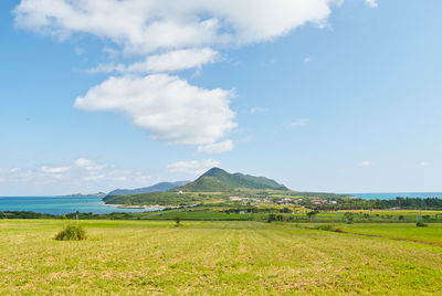 Scenic view of field against sky