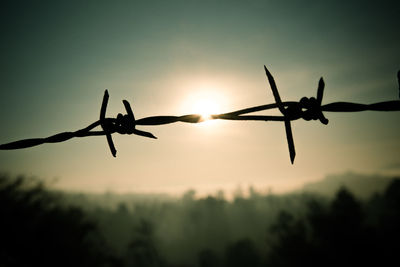 Close-up of silhouette barbed wire against sky during sunset