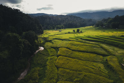 Scenic view of agricultural field against sky