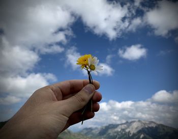 Midsection of person holding flowering plant against cloudy sky