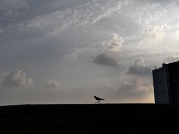 sky
