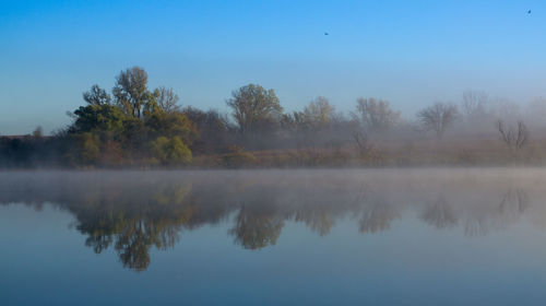 Reflection of trees in calm lake