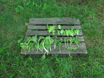 High angle view of old abandoned seat on field