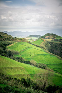 Scenic view of agricultural field against sky