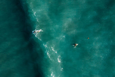 Aerial view of surfers waiting, paddling and enjoying waves in a beautiful blue water