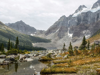 Looking along babel creek towards consolation lakes in lake louis, ab, canada