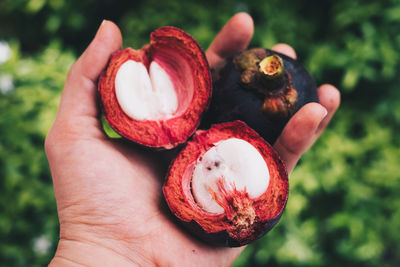 Close-up of hand holding strawberry