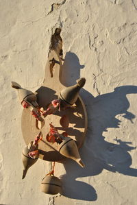 Shadow of horse on sand at beach