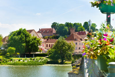 Plants by river and buildings against sky