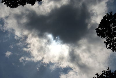 Low angle view of trees against sky