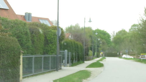 Road amidst trees in city against sky