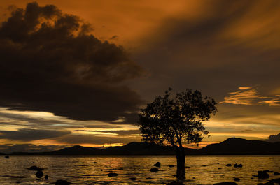 Silhouette trees by sea against sky during sunset