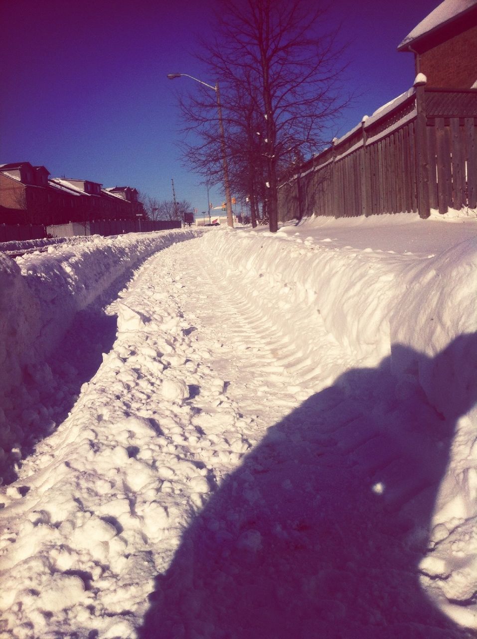 snow, winter, cold temperature, architecture, building exterior, built structure, clear sky, season, bare tree, landscape, blue, shadow, nature, weather, sunlight, outdoors, walking, covering