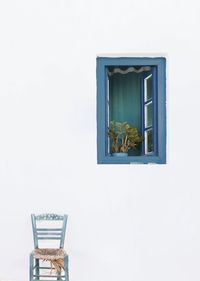 Potted plant against white wall