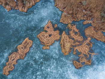 High angle view of cookies