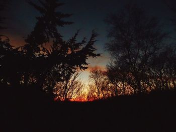 Silhouette trees against sky at sunset