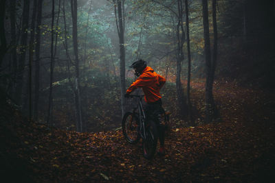 Rear view of man in forest during autumn