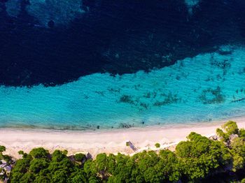 High angle view of sea and trees