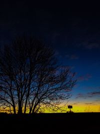 Low angle view of bare trees against sky at night