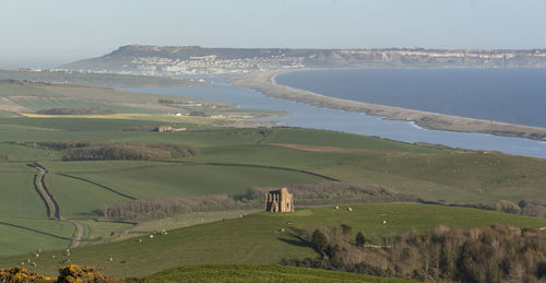 Scenic view of agricultural field against sky