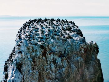 Rock formation on beach against sky