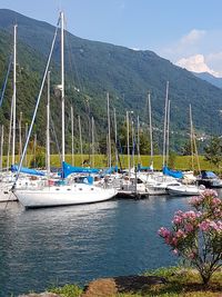 Boats in sea