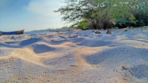 Surface level of beach against sky