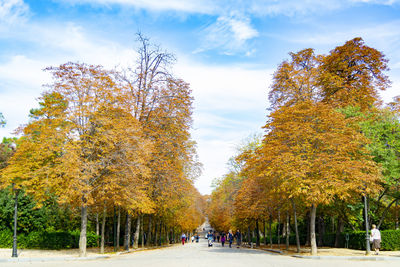 Trees in park against sky during autumn