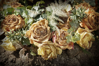 Close-up of flowers