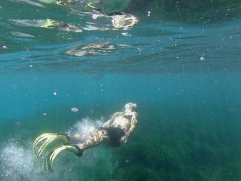 Close-up of jellyfish swimming in sea