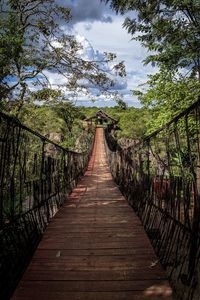 Wooden footbridge along trees