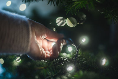 Close-up of hands holding christmas tree