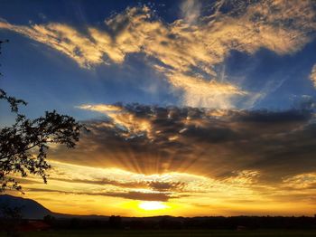 Low angle view of silhouette trees against sky during sunset