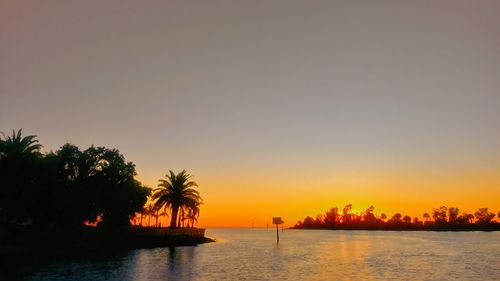 Silhouette palm trees by sea against clear sky during sunset