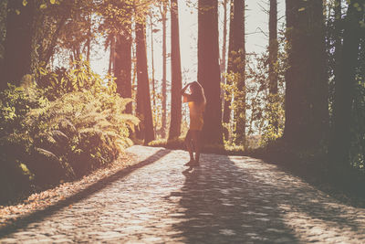 Rear view of man standing amidst trees in forest