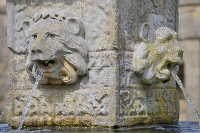Close-up of statue against stone wall