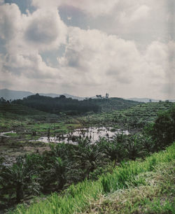 Scenic view of field against sky