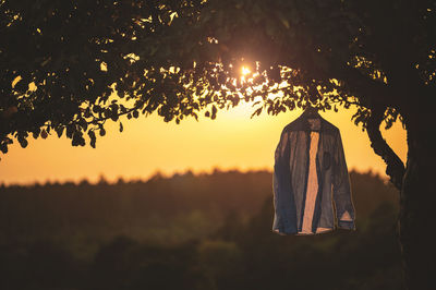 Shirt hanging on tree against sky during sunset