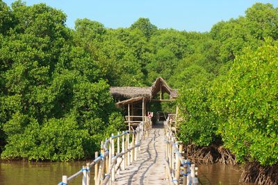 Footbridge over lake against trees in forest