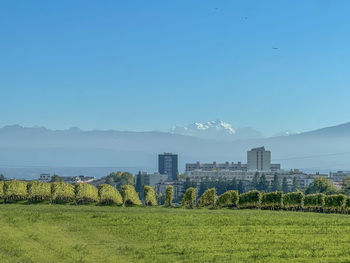 Scenic view of field against clear blue sky